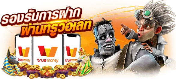 ทางเข้า slotpg wallet
